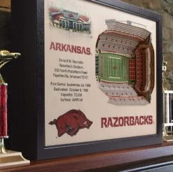 YouTheFan! NCAA 25-Layer StadiumView Wall Art -Tour Edge Store ArkansasRazorbacks1